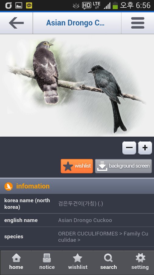 birds of korea截图7