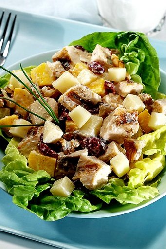 Chicken Salad Recipes截图1