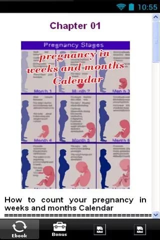 Find Out Pregnancy Calen...截图3