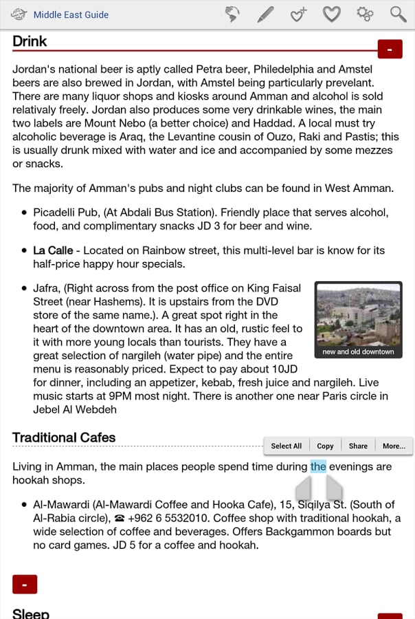 Middle East Travel Guide截图6