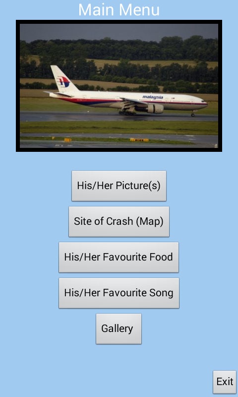 MH17Memorial截图4