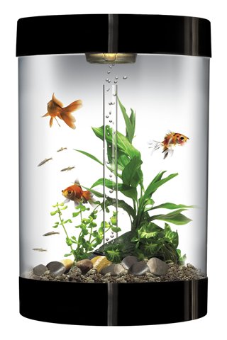 Fish Pet Shop截图1