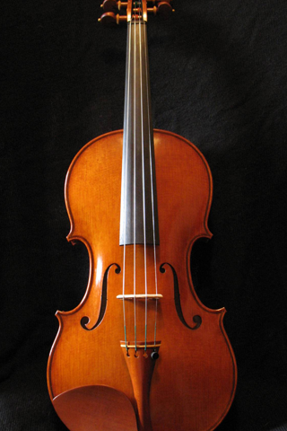 Violin Pictures截图4