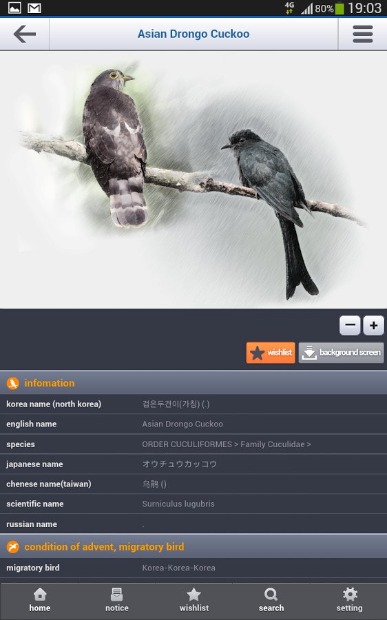 birds of korea截图2