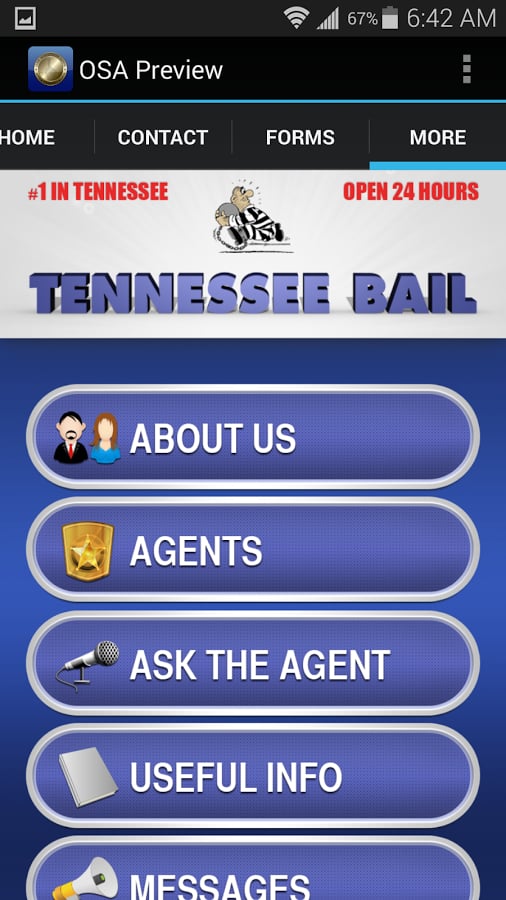 Tennessee Bail截图2