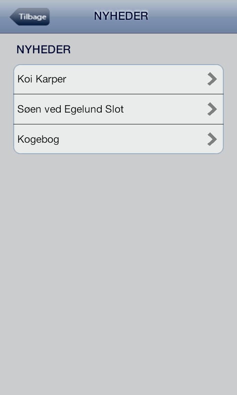 Egelund Slot截图1