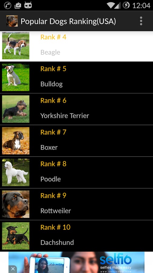 Popular Dogs Ranking(USA...截图1