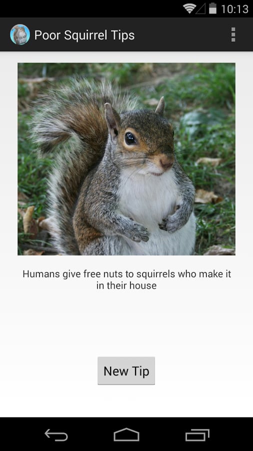 Poor Squirrel Tips截图1