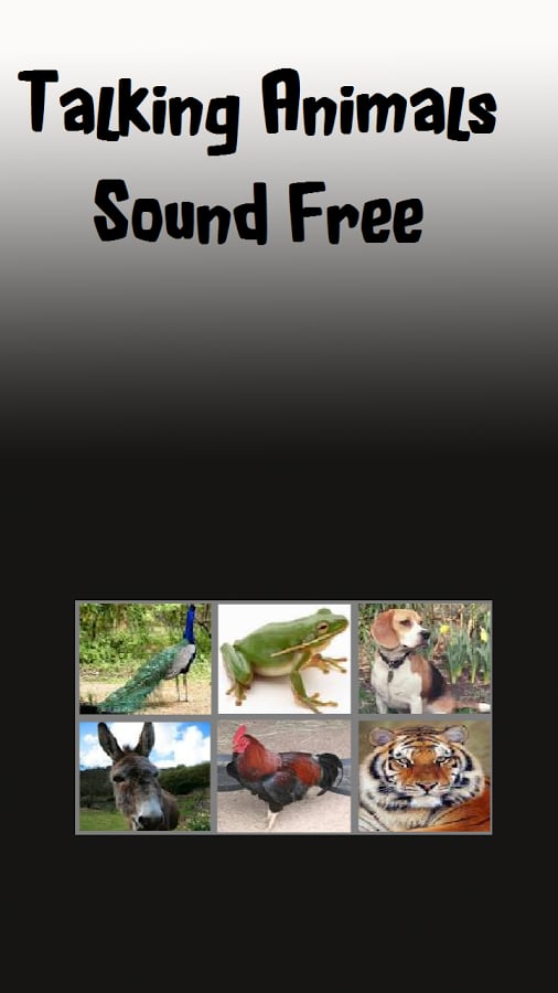 4K Talking Animals Sound截图2