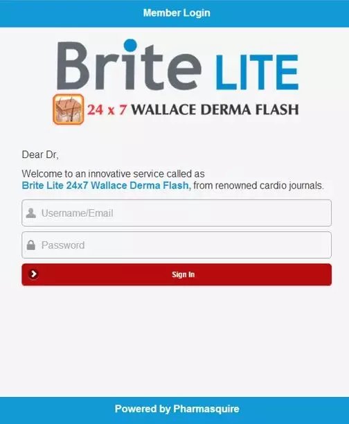 Brite Lite截图1