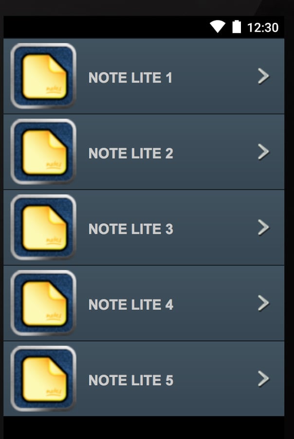 Note Lite截图2