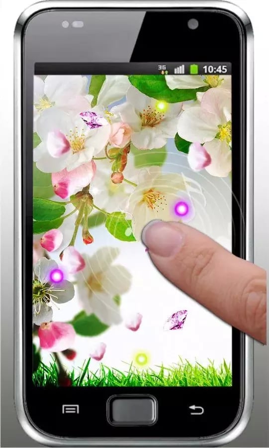 Apple Blossom Nice HD LW...截图4