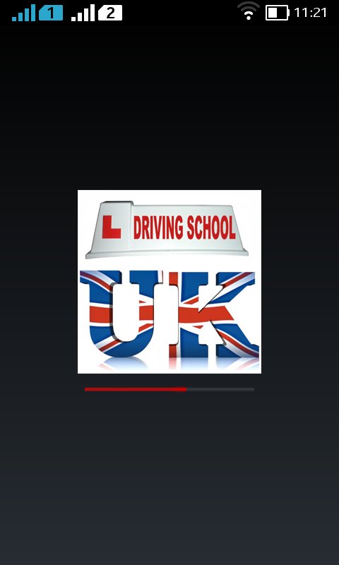 driving school lessons截图3