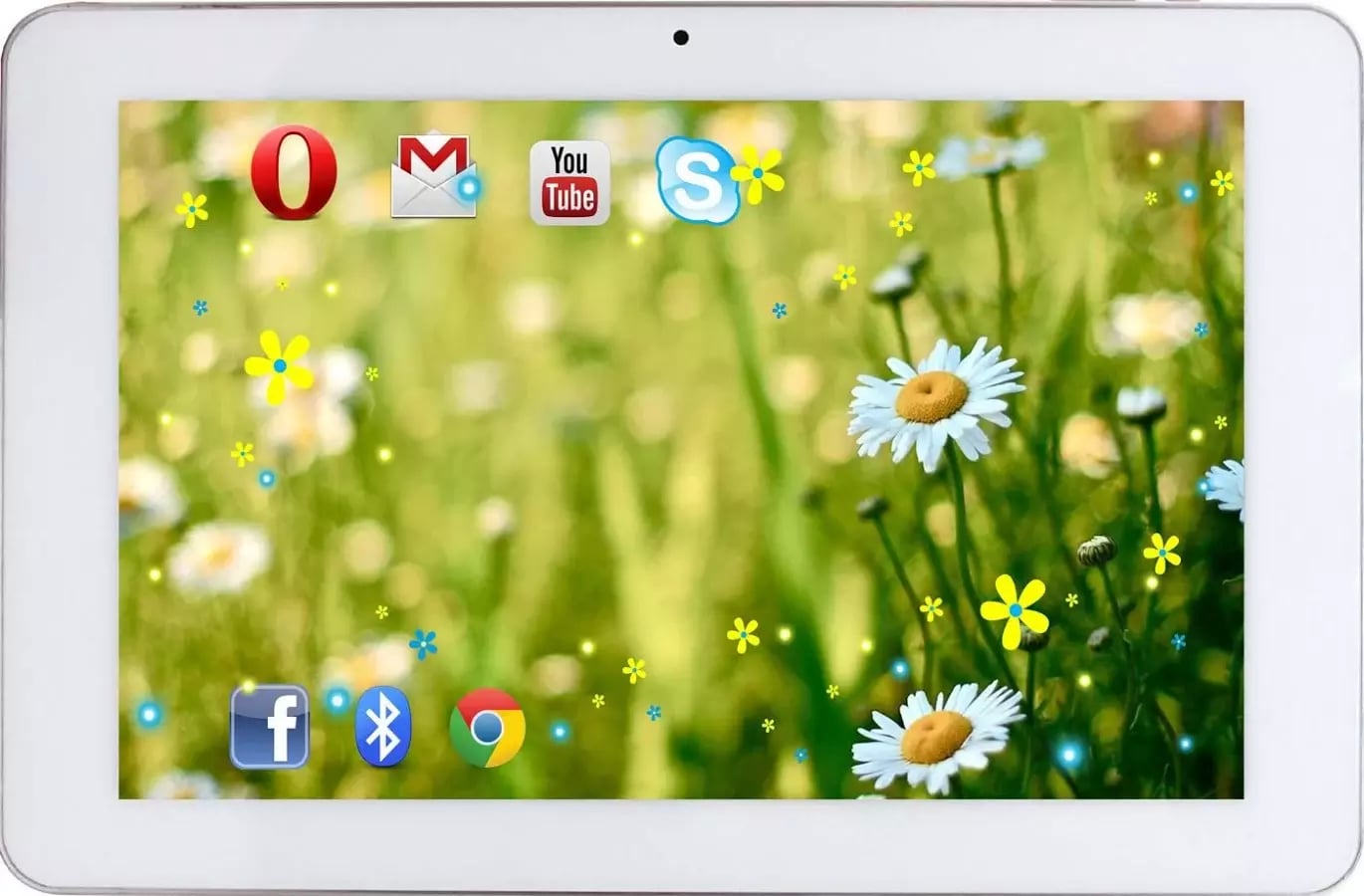 Flowers Camomile Nice HD...截图4