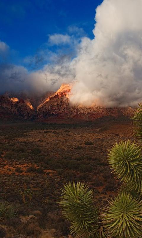 Red Rock Canyon Wallpape...截图2