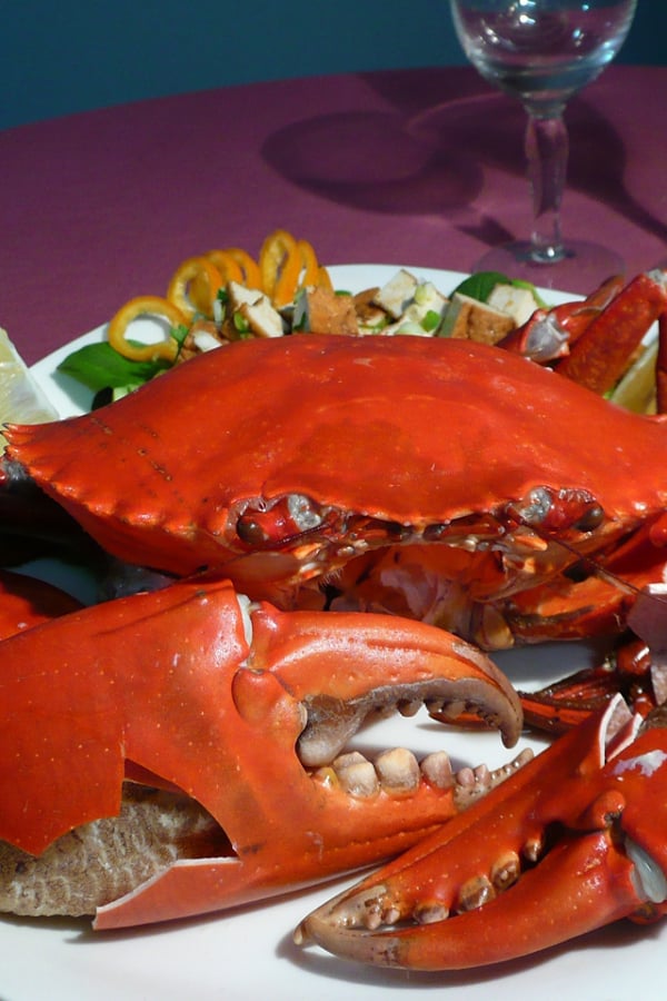 Seafood Main Dishes Reci...截图9