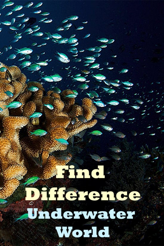 Find Diff Underwater World截图1