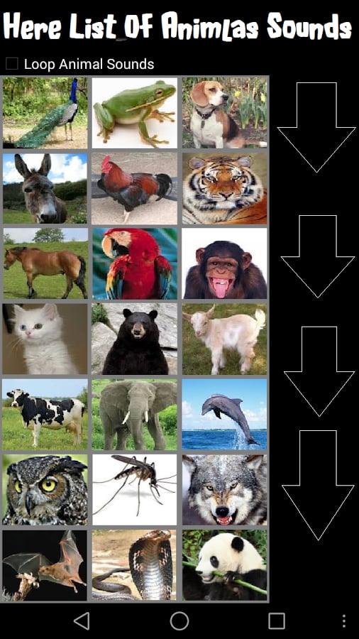 4K Talking Animals Sound截图3