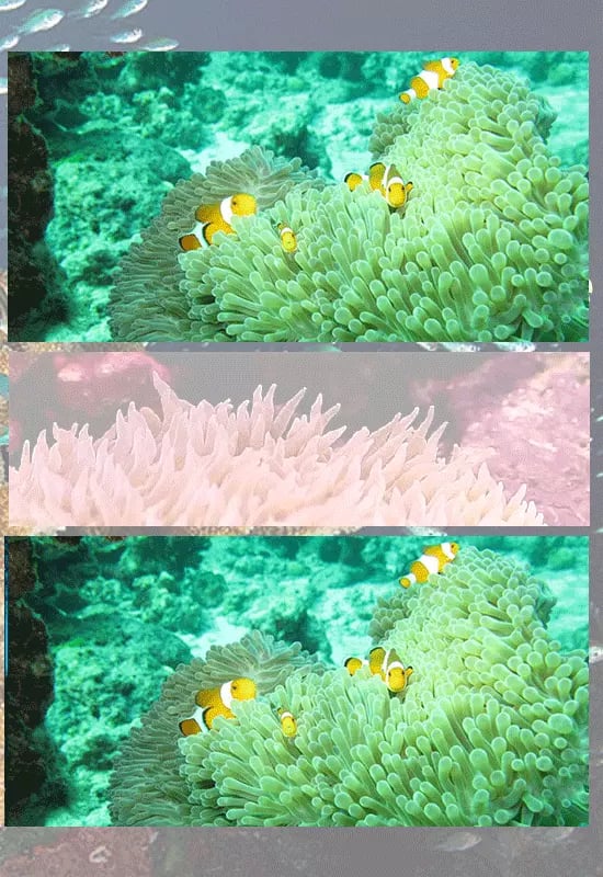 Find Diff Underwater World截图4