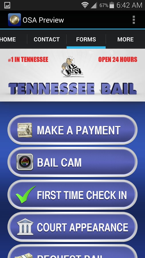 Tennessee Bail截图4