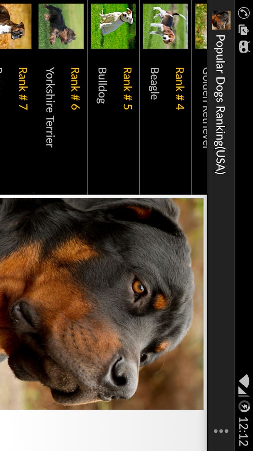 Popular Dogs Ranking(USA...截图2