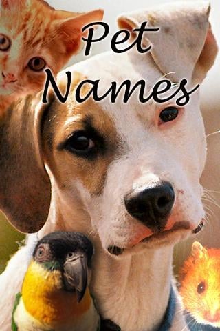 Pet Names截图1