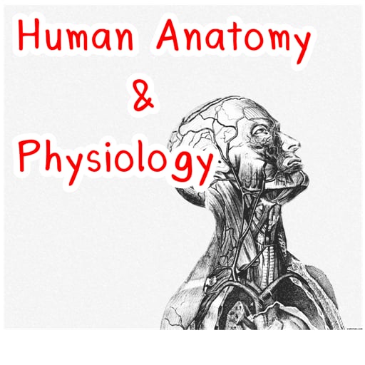 Human Anatomy Physiology截图2