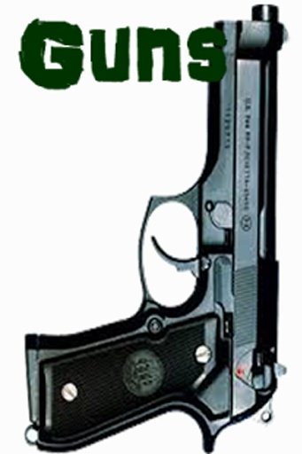 Guns Sound Realistic截图3