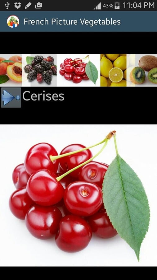 Lesson francais les vege...截图4