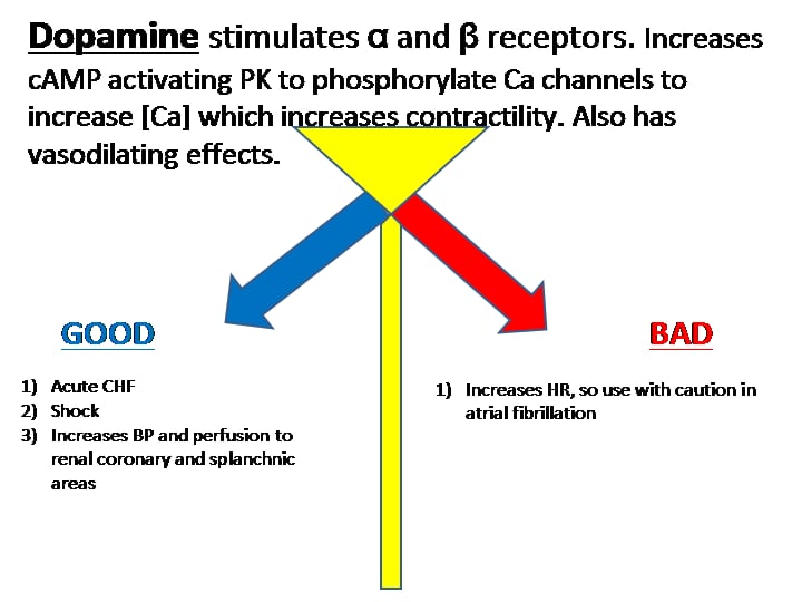 USMLE Medicine Cabinet截图2