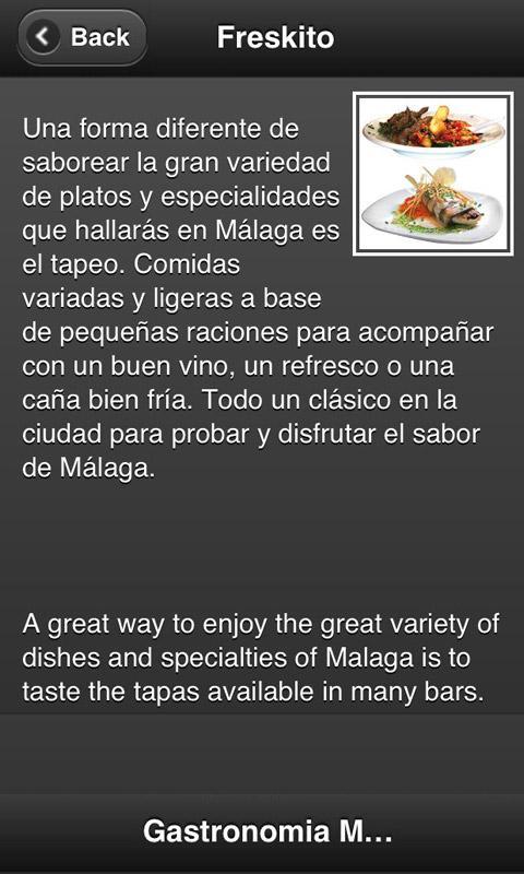 Gastronomia Malaga截图2