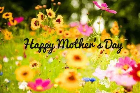 Happy Mothers Day截图8