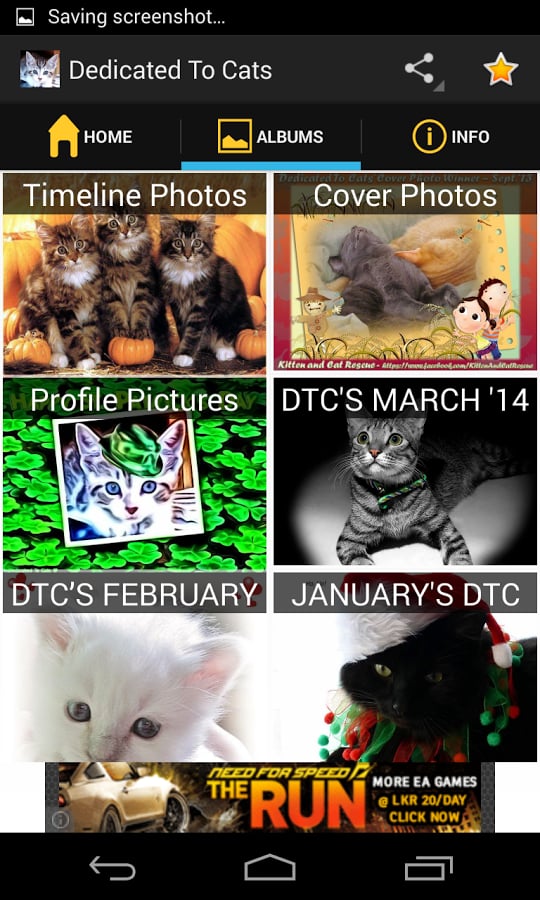 Dedicated to Cats - Page...截图2