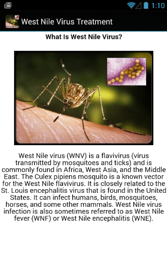 West Nile Virus Treatmen...截图5