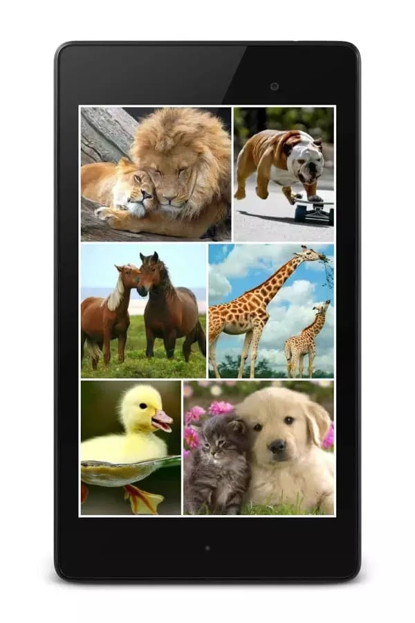 Puzzlera Animals截图2