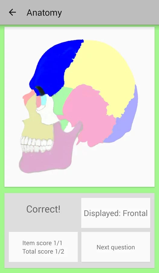 Anapptomy: anatomy study...截图1