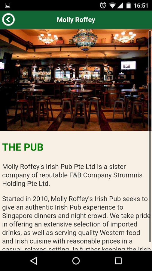 Molly Roffey's Irish Pub截图3