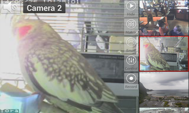 Viewer for ICam IP cameras截图1