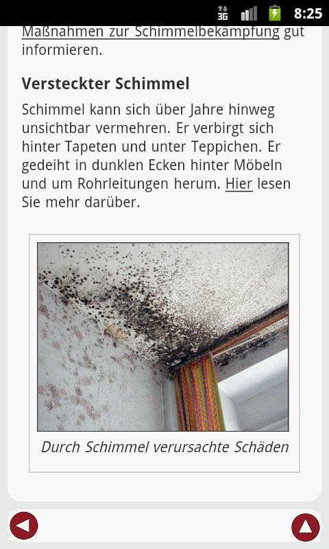 Schimmel im Haus截图2