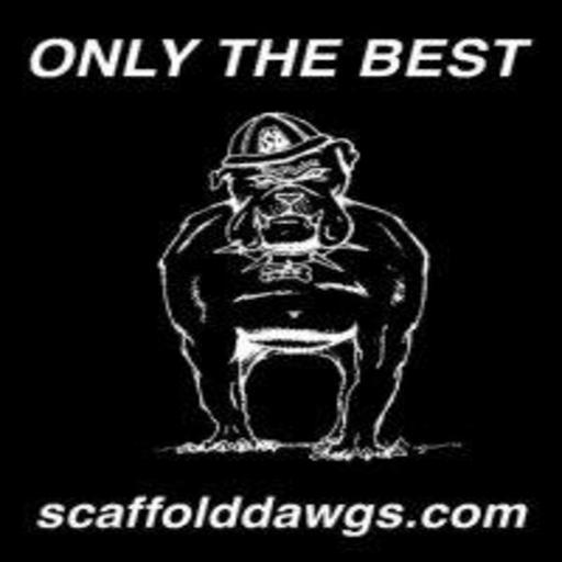 Scaffold Dawgs截图1