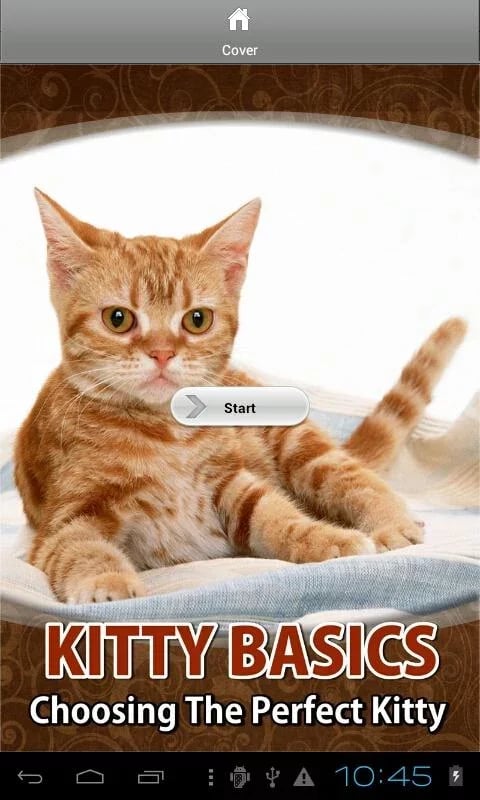 Kitty Basics截图2