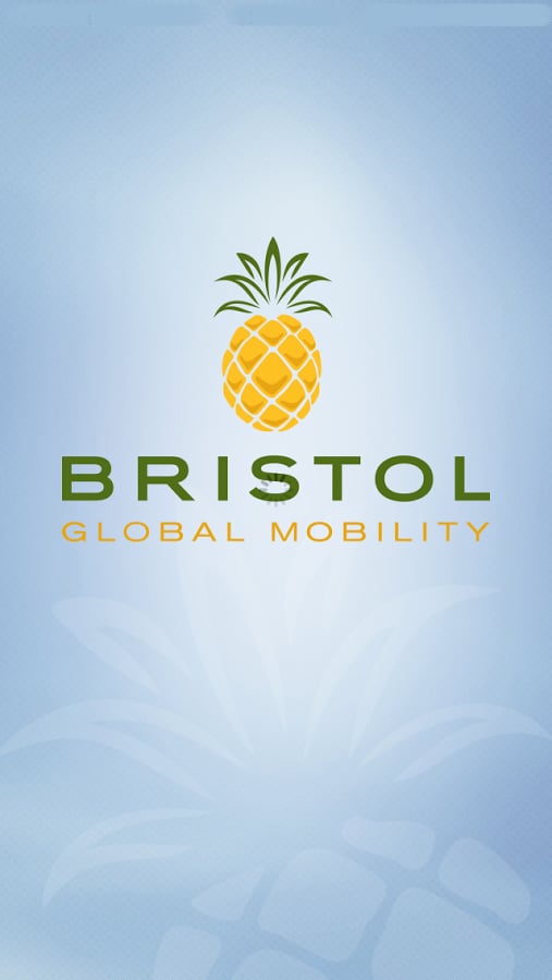 Bristol Elite截图1