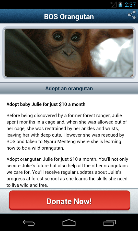 Borneo Orangutan Survival Aus截图8