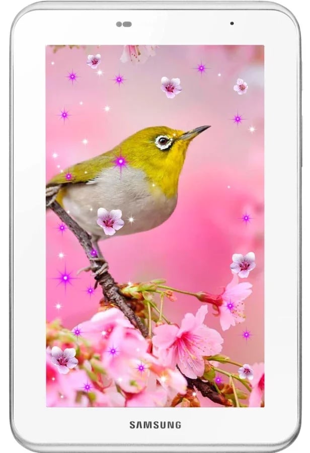 Sakura Spring LWP截图5