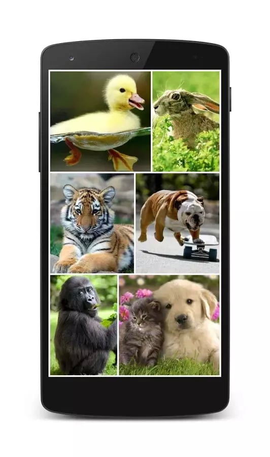 Puzzlera Animals截图3