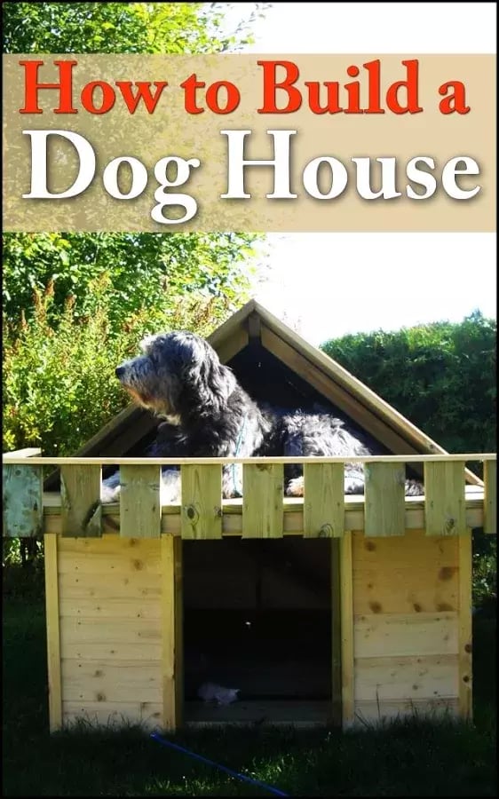 How To Build A Dog House截图1