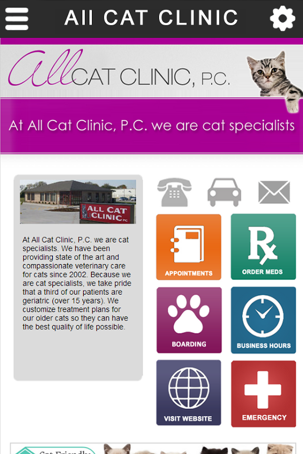 All Cat Clinic截图3