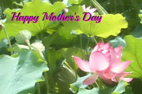 Happy Mothers Day截图10