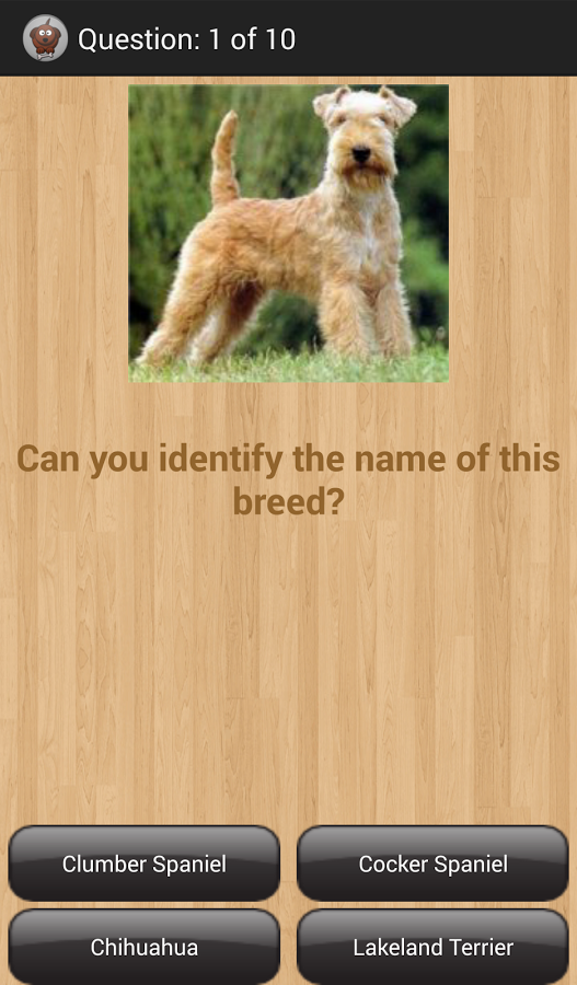 Dog Breeds with Quiz截图6