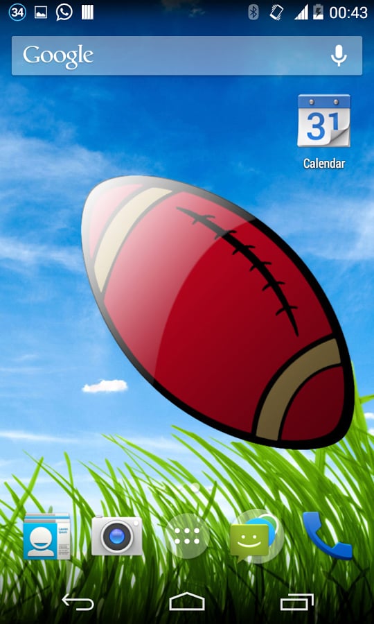 San Francisco Football L...截图1